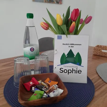 Appartement Sophie - Perfekt Mit Kind Und Kegel *